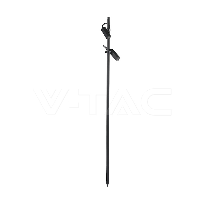 24229